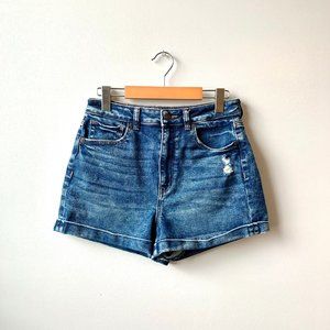 American Eagle Mom Shorts